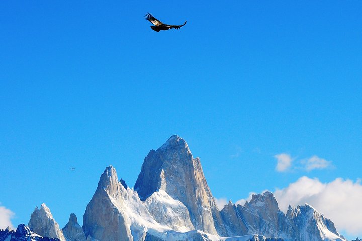 Excursão de dia inteiro com experiência completa em El Chalten saindo de El Calafate