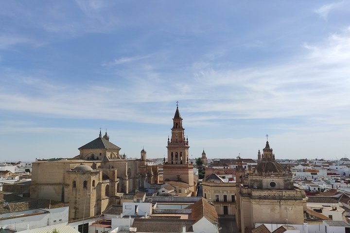 Visite privée de Carmona et de ses principaux monuments