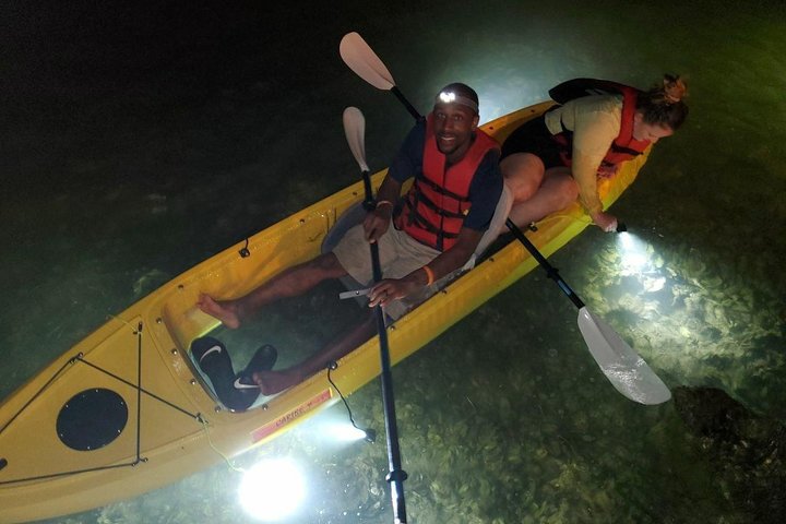 Sharkeys fisk med glasbotten matar LED Night Tour St. Pete Beach