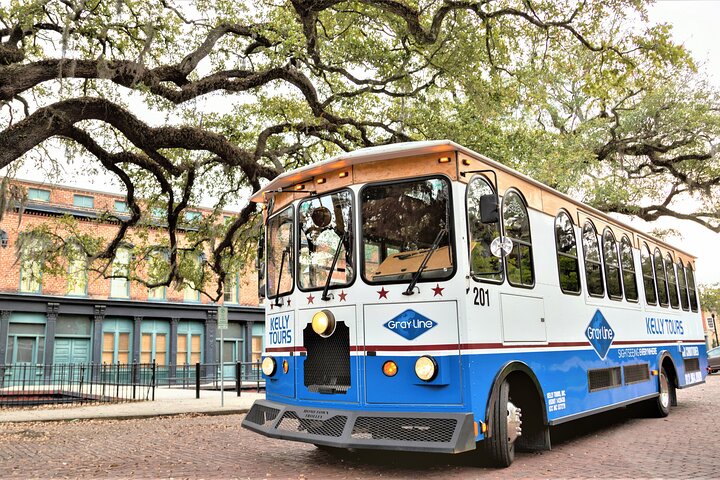 Savannah Land & Sea Combo: City Sightseeing Trolley Tour med Riverboat Cruise