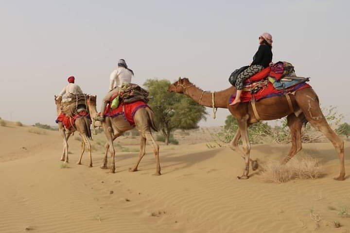 Visite privée de la ville bleue de Jodhpur avec prise en charge et retour à l'hôtel