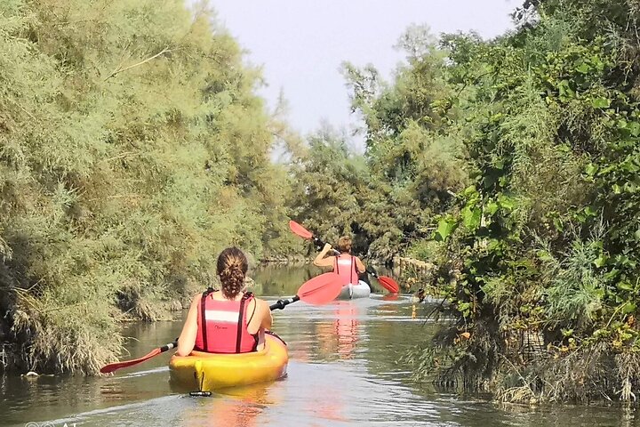 Tour privado en kayak en la laguna veneciana