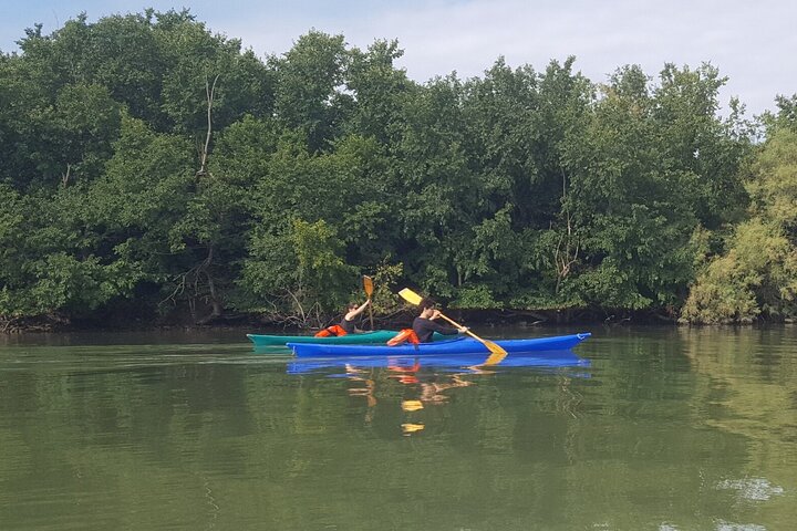 Tour privado en kayak en la laguna veneciana