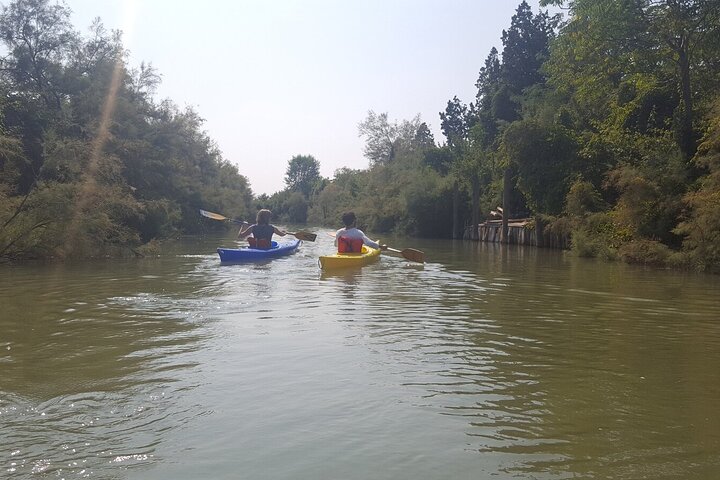Tour privado en kayak en la laguna veneciana