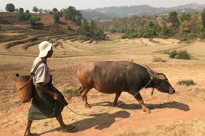 3 dagen minder toeristische trektocht van Kalaw naar Inle