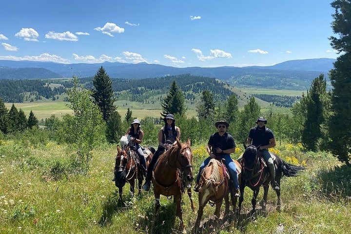 Passeggiate a cavallo con vista sul Grand Teton a Jackson Hole