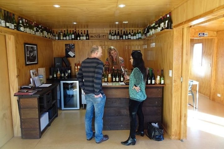 Martinborough in a Day - Tour guidato di degustazione di vini con pranzo