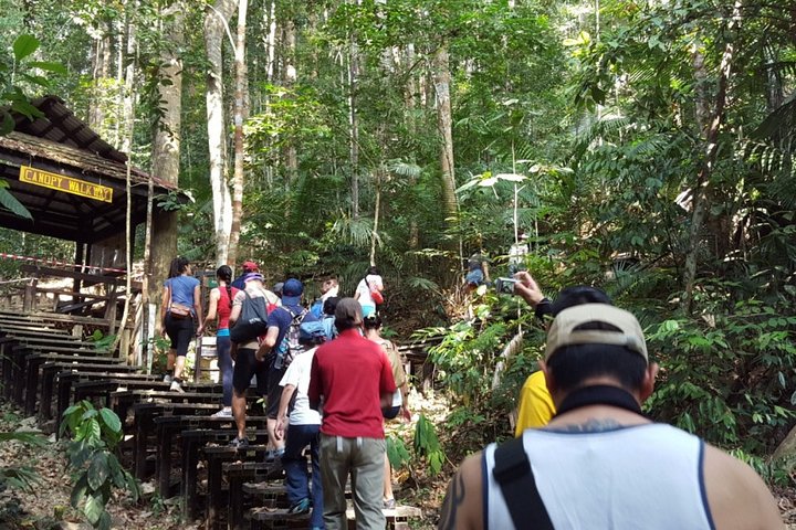 Kuala Besut naar Taman Negara Enkele reis SIC-overdrachten