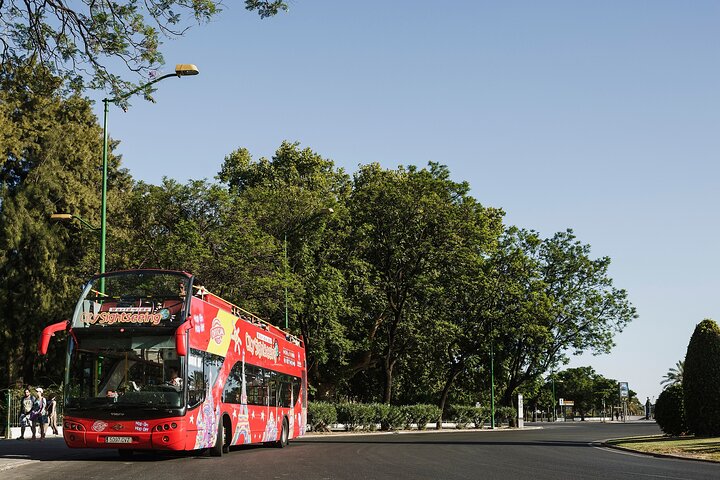 Stadsbezichtiging Santander Hop-On Hop-Off bustour + trein