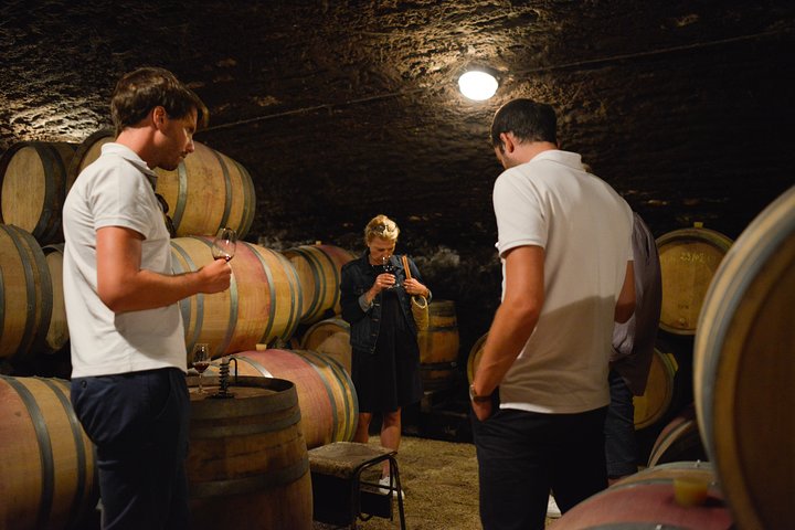 Excursion privée d'une journée en Bourgogne : Côte DE Beaune & Côte DE Nuits