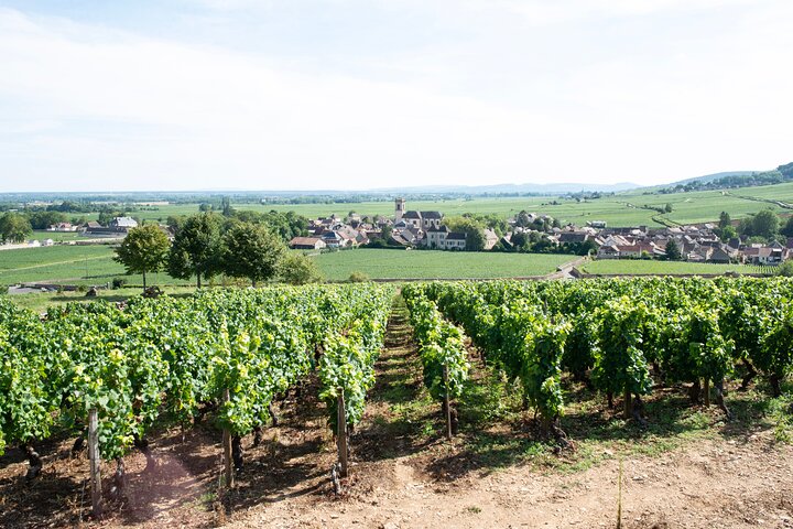 Excursion privée d'une journée en Bourgogne : Côte DE Beaune & Côte DE Nuits