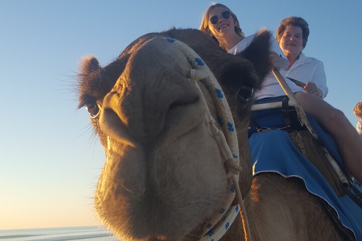 Broome Pre-sunset Camel Tour 30 minuti