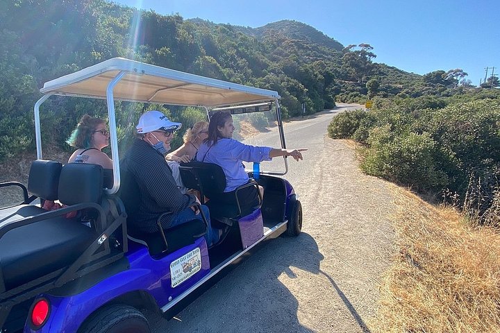 Visita guiada privada en carrito de golf de Isla Catalina