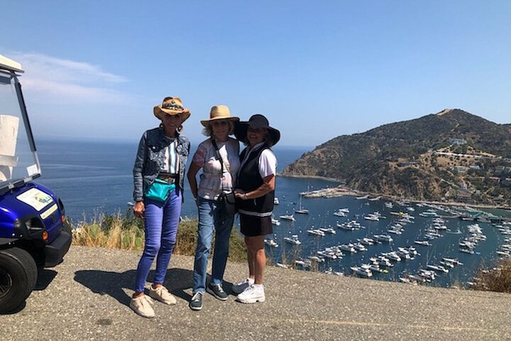 Visita guiada privada en carrito de golf de Isla Catalina