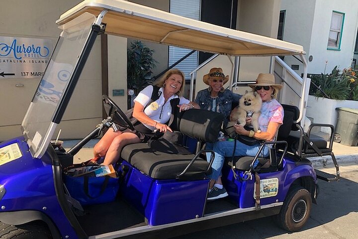Visita guiada privada en carrito de golf de Isla Catalina