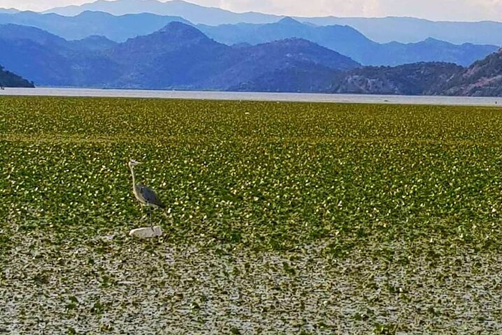 2 ore guidate - Tour Natura di Gruppo (degustazione vino locale in tour)