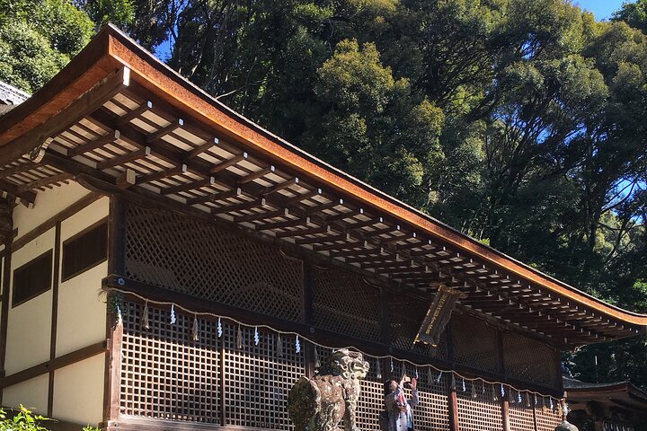 Kyoto teby for matcha-elskere