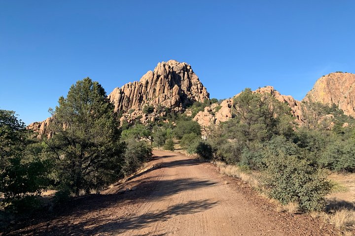 Paseo en bicicleta eléctrica de 2 horas en The Peavine Trail (popular)