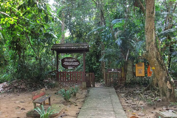 Kuala Besut naar Taman Negara Enkele reis SIC-overdrachten