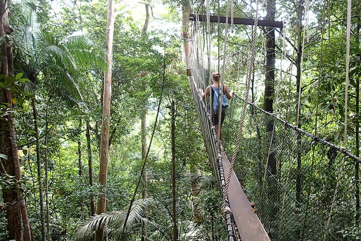Kuala Besut naar Taman Negara Enkele reis SIC-overdrachten