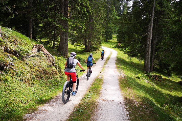 Passeio guiado de e-bike pelas pastagens alpinas em Salzkammergut