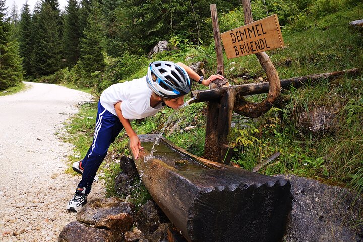 Passeio guiado de e-bike pelas pastagens alpinas em Salzkammergut
