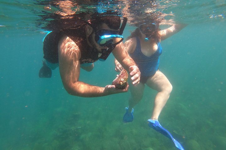 Aventura de mergulho com snorkel em recifes de coral com fotos e vídeos