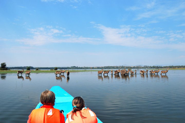 Excursão de dia inteiro ao Portão do Inferno e ao Lago Naivasha de Nairobi