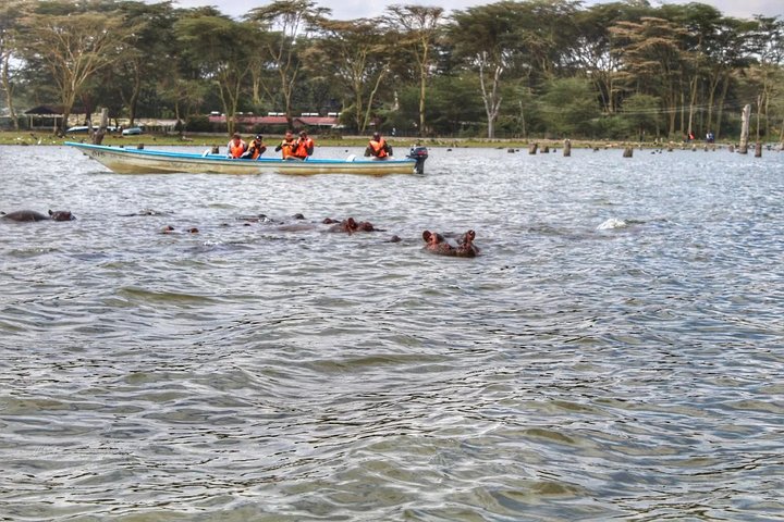 Excursão de dia inteiro ao Portão do Inferno e ao Lago Naivasha de Nairobi