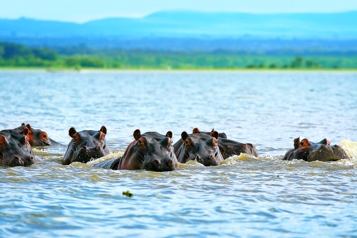 Excursão de dia inteiro ao Portão do Inferno e ao Lago Naivasha de Nairobi
