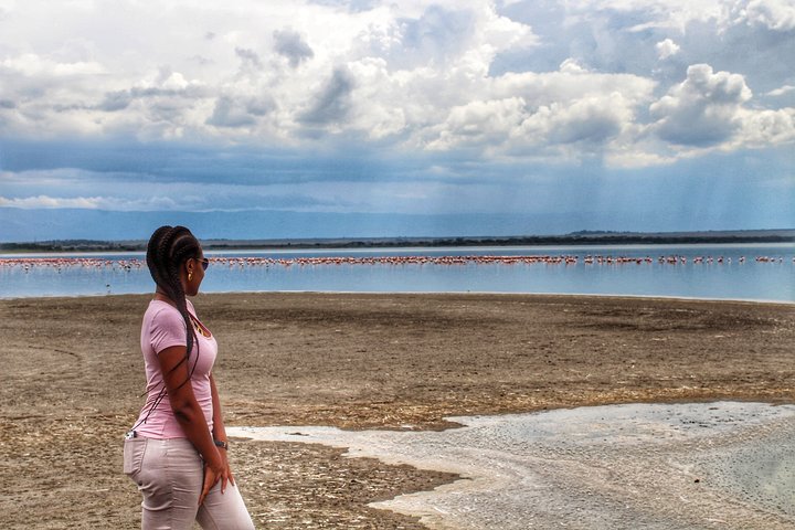 Excursão de dia inteiro ao Portão do Inferno e ao Lago Naivasha de Nairobi