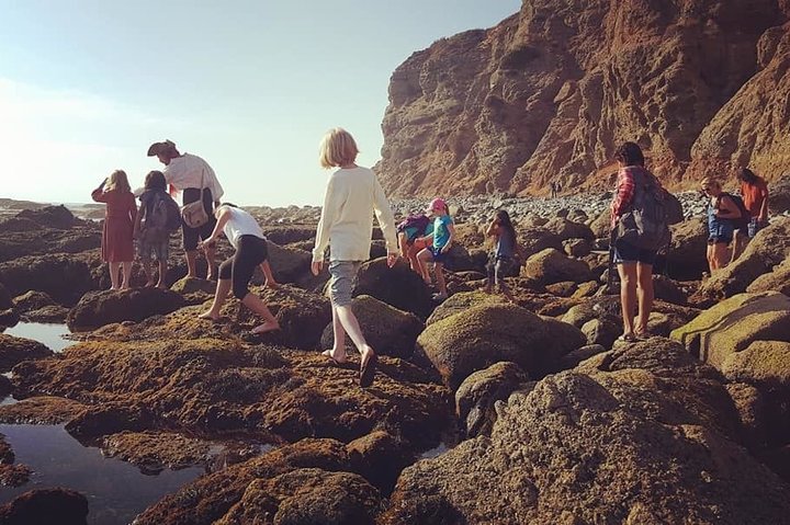 Passeggiata alla piscina di marea della grotta marina dei pirati a Dana Point