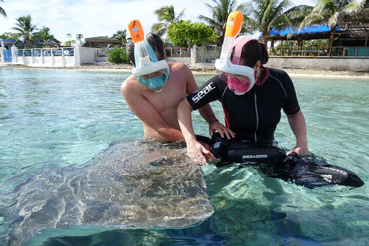 Sea Scooter Jet snorkling: svømme med skilpadder, stråler og haier