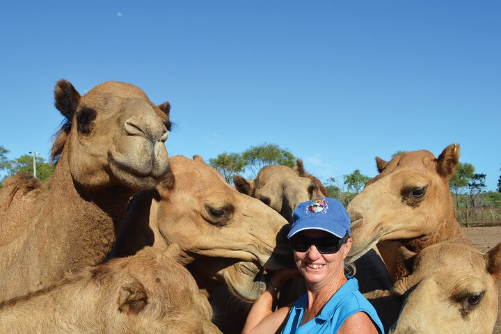 Broome Pre-sunset Camel Tour 30 minuti