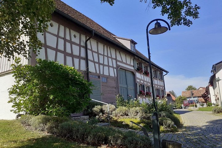 Tagestour Rheinfall von Schaffhausen mit Stein am Rhein und Besuch von Konstanz