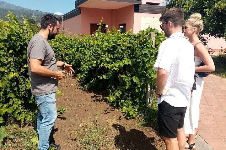 Privat omvisning i Etna og vingårdsbesøk med mat- og vinsmaking fra Taormina