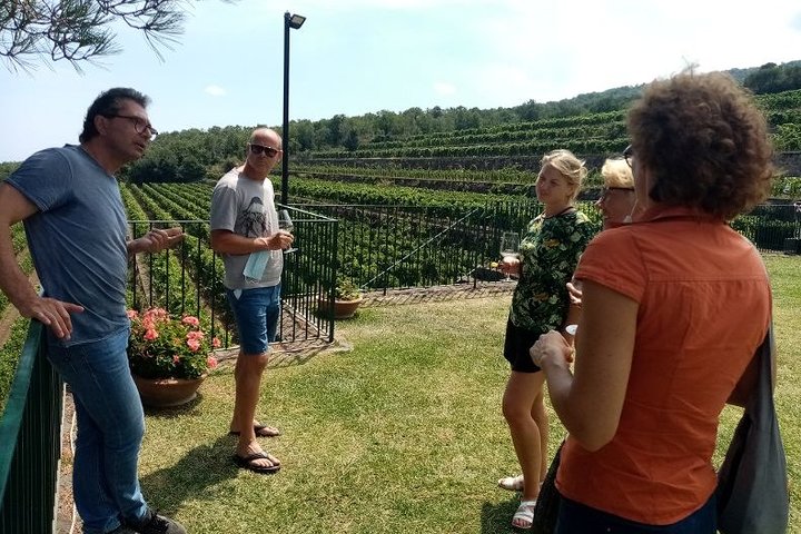 Privérondleiding van 6 uur langs drie Etna-wijnhuizen met eten en wijnproeverij