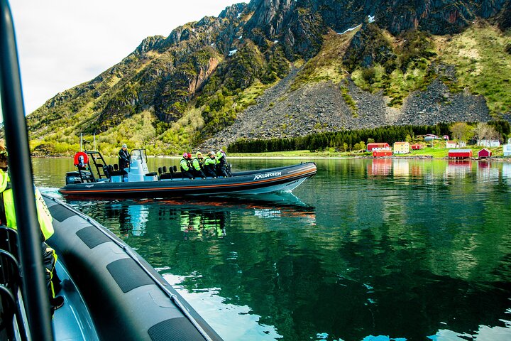 Havsörnssafari från Svolvær till Trollfjorden