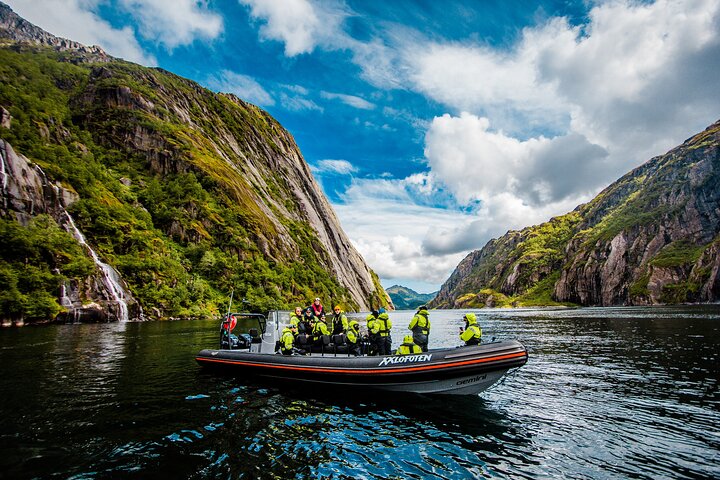 Havsörnssafari från Svolvær till Trollfjorden