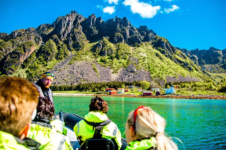 Havsörnssafari från Svolvær till Trollfjorden