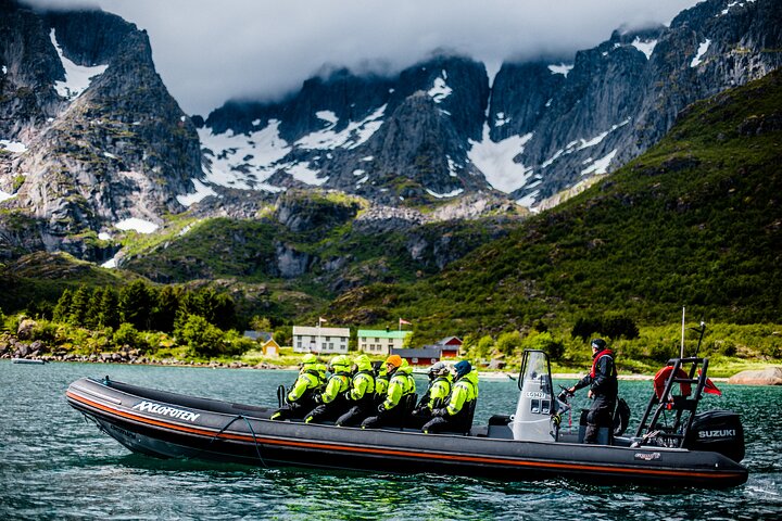 Havsörnssafari från Svolvær till Trollfjorden