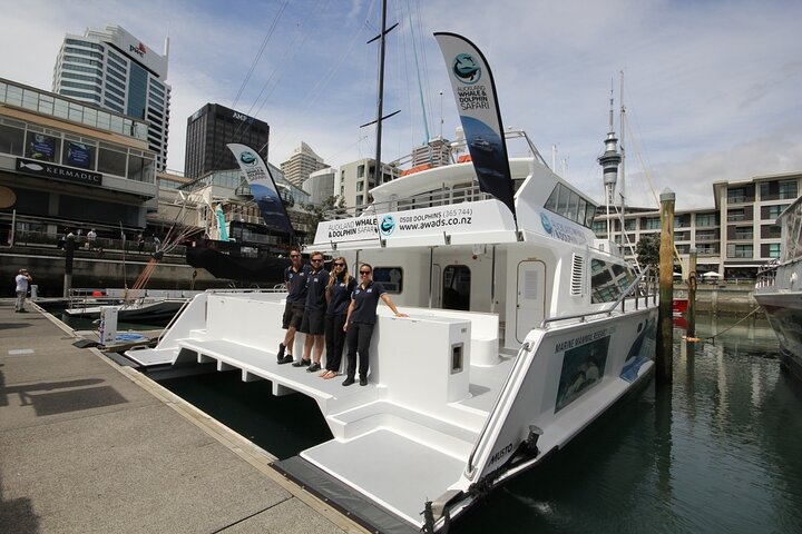 Auckland Eco-safaricruise met dolfijnen en walvissen spotten