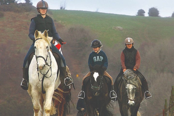 Équitation sur la plage et à la campagne à l'extérieur de Westport. Guidé. 1 heure
