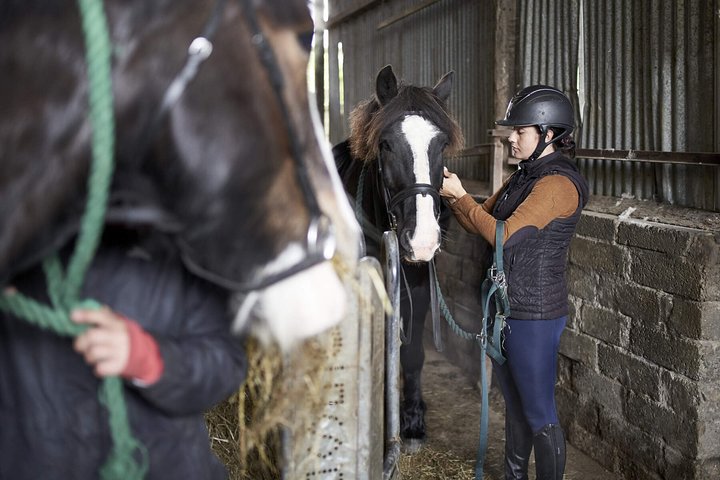 Équitation sur la plage et à la campagne à l'extérieur de Westport. Guidé. 1 heure