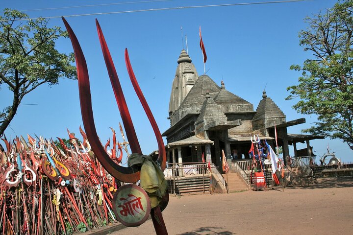 Nagpur naar Pench & Satpura National Park, Tiger Safari Tour