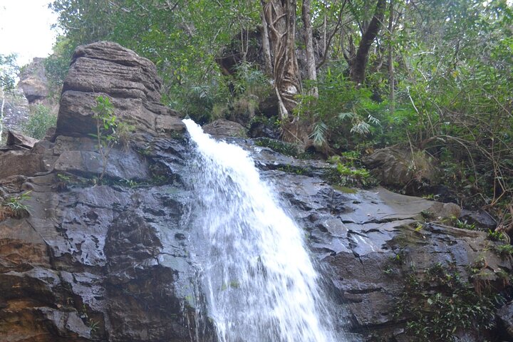 Nagpur naar Pench & Satpura National Park, Tiger Safari Tour