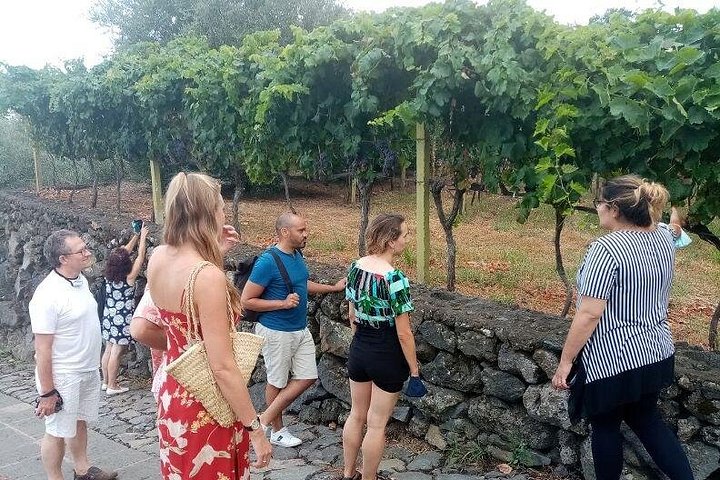 Privat omvisning i Etna og vingårdsbesøk med mat- og vinsmaking fra Taormina