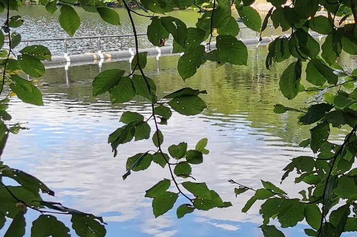 Loch Ness, cawdor castle, inverness, Culloden slagmark og mere fra invergordon