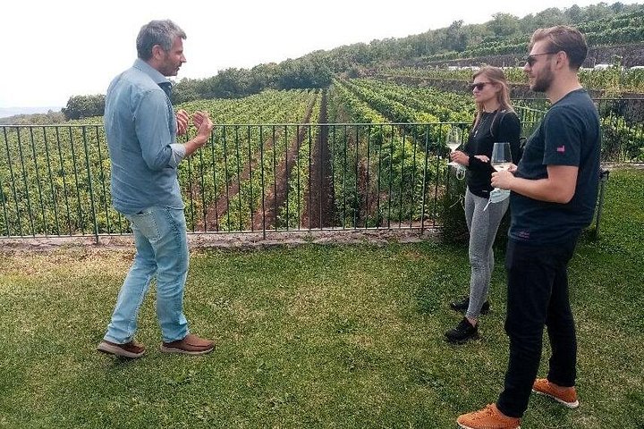 Privat omvisning i Etna og vingårdsbesøk med mat- og vinsmaking fra Taormina