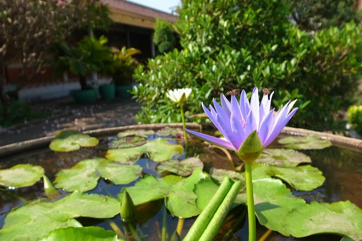 Phnom Penh Vital Discovery-Full Day Tour (Incluindo todos os serviços)